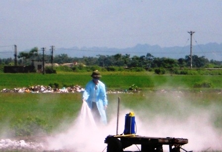 Tiêu hủy hơn 1.000 con gia cầm trong vùng dịch A/H5N6