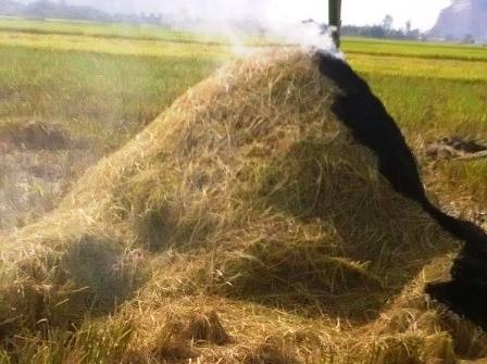 Người đàn ông chết cháy trong đống rơm giữa đồng - 1 Đống rơm nơi phát hiện thi thể anh Tiến.