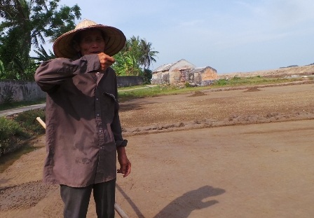 Ông Trần Văn Minh (70 tuổi) đã có hơn 50 năm gắn bó với nghề muối.