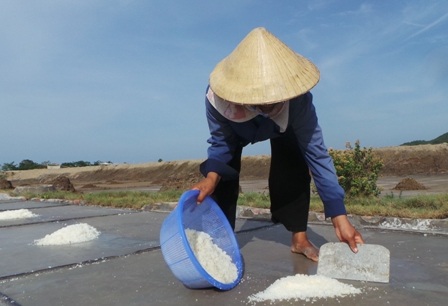Để làm ra những hạt muối trắng, diêm dân phải đương đầu với cái nắng nóng như đổ lửa.