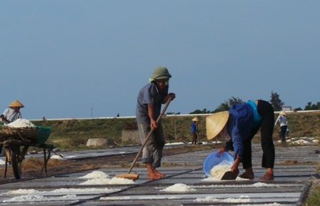 Tất bật thu muối về kho.