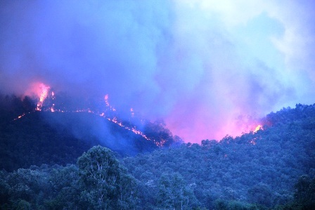 Lửa lan rộng trên một diện tích lớn ở khu vực địa hình đồi dốc.