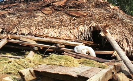 Hàng trăm ngôi nhà bị sập, tốc mái.