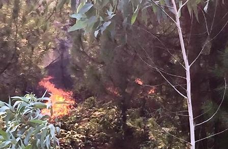 Thời tiết nắng nóng, công tác chữa cháy gặp rất nhiều khó khăn.