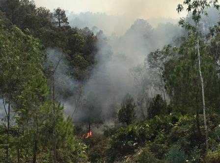 Hiện trường vụ cháy.