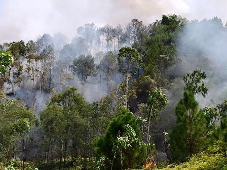 Thời tiết nắng nóng, công tác chữa cháy gặp rất nhiều khó khăn.