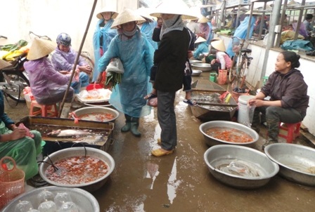 Hàng cá chép tại chợ nhộn nhịp từ sáng sớm.