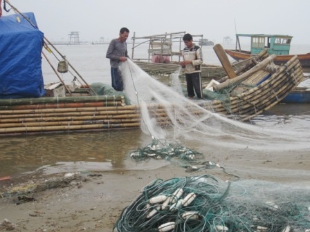 Những mẻ lưới đầu tiên vào bờ mang theo nhiều may mắn.