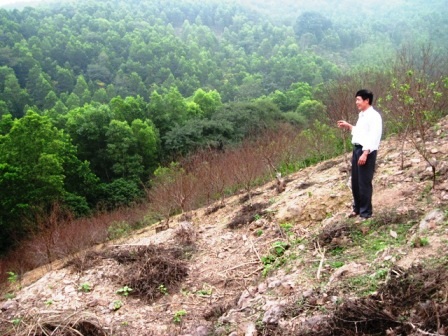 Lão nông “triệu phú” bên vùng đồi rộng lớn do chính tay mình khai phá gần 20 năm trước.