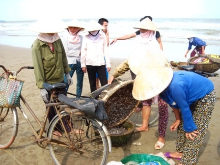 Cùng chia nhau lộc biển.