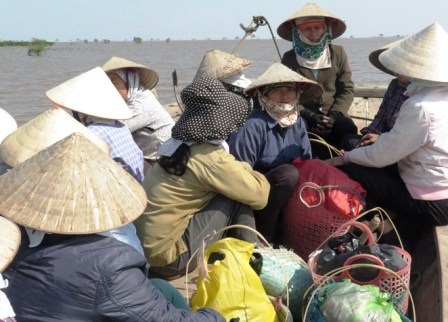 Một thuyền khai thác ngao của người dân Thái Bình.