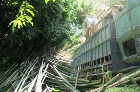 Một vụ tai nạn lật xe chở luồng vào tháng 8/2014 cũng tại địa phận huyện Quan Hóa.