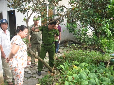 Hiện trường vụ việc