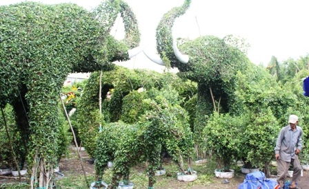 Nghệ nhân đang tất bật công việc cuối năm để làm các sản phẩm kiểng giao khách hàng