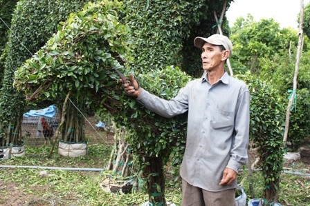 Hoàn thành công đoạn cuối cùng để giao kiểng hình con dê cho khách hàng