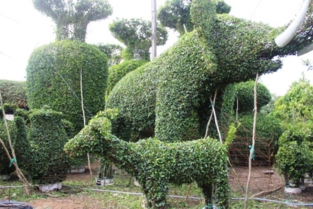 Vườn kiểng có rất nhiều con vật, hình ảnh khác nhau được đạo dáng theo nhu cầu của khách hàng