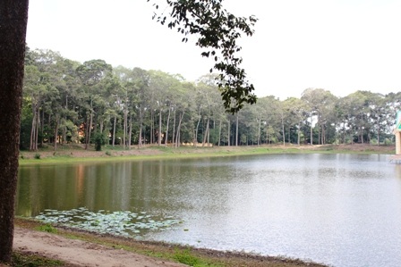 Khung cảnh thanh bình ở Ao Bà Om