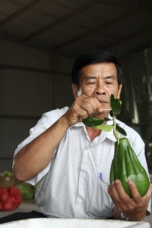 Bưởi hình “tay Phật” bán Tết giá bạc triệu - 5 Hình dáng siêu độc nên bưởi hình tay Phật dự kiến đắt hàng trong dịp Tết