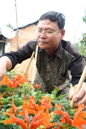 Hoa xác pháo của ông Huỳnh Thanh Cần mới nhập về trồng thử nghiệm