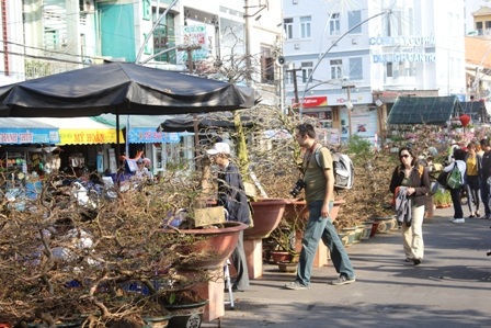 Du khách nước ngoài thích thú với chợ hoa Tết TP Cần Thơ