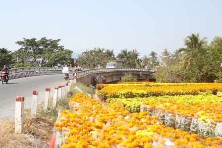 Hoa tràn ngập ra cả lề đường