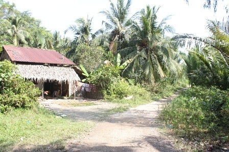 Con đường nhỏ dẫn vào sóc của đồng bào Khmer.