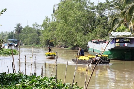 Vận chuyển hoa ra chợ Tết bằng đường thủy
