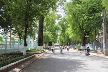 Con đường rợp bóng cây xanh giữa thành phố Trà Vinh