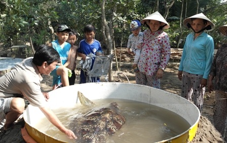 Nhiều người hiếu ký đến xem cụ rùa khổng lồ.