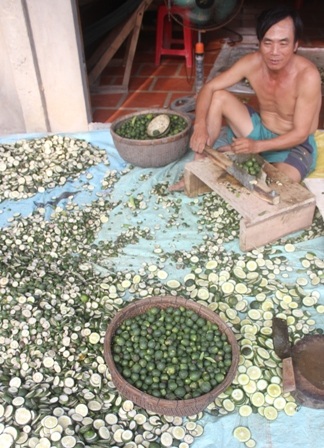 Ông Tồn được thuê xắt cam non với giá 500 đồng/kg