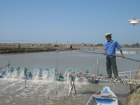 Nông dân “cấm tiệt” phóng viên quay phim vì sợ… mất mùa - 2 Dịch bệnh, nắng nóng làm tôm chết hàng loạt khiến nhiều nông dân cấm tiệt máy quay phim.