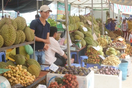 Đến Vương quốc trái cây để thưởng thức nhiều loại trái cây đặc sản