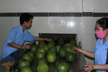 Giá trái cây đặc sản tăng cao nên người dân mạnh dạn chuyển đồi cây trồng 