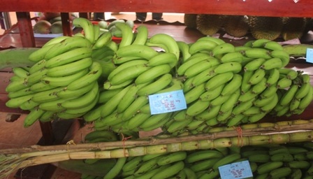 Buồng chuối già rất to