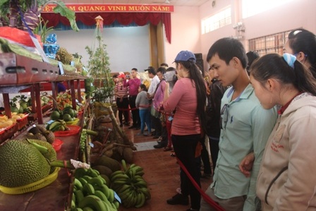 Du khách thích thú ngắm những củ, quả khủng