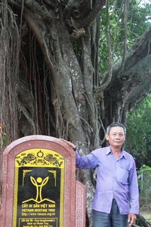 Người dân ra sức chăm sóc, bảo vệ 2 cây đa cổ