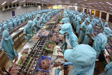 Bà Diệu Hiền sẽ về Việt Nam sau hai tháng nữa? - 1 Bà Diệu Hiền sẽ về Việt Nam sau hai tháng nữa?