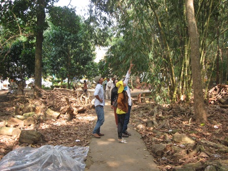 Du khách thích thú nhìn ngắm đàn dơi treo lủng lẳng trên cây