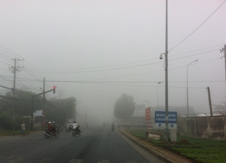 Hiện tượng sương mù có thể làm cho sâu bệnh phát triển và gây hại cho hoa màu