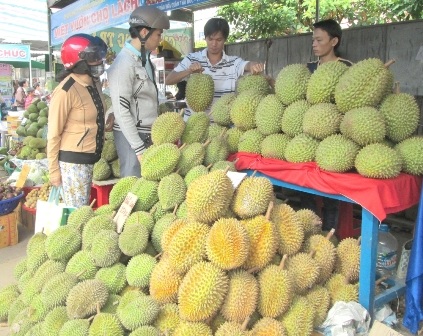 Sầu riêng đang rớt giá thê thảm