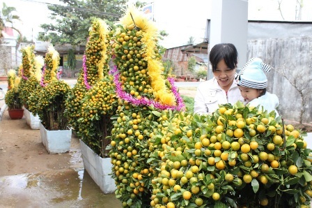 Kiểng hình ngựa tiền triệu vẫn đắt hàng - 4 Mỗi con ngựa sẽ tốn khoảng 30 đến 40 giỏ tắc