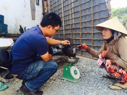 Phớt lờ công bố dịch, dân thoải mái mua bán gia cầm - 2 Gà sống bày bán công khai ở chợ cầu Bà Bộ sáng 21/2