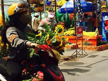 Người thì chọn hoa Hướng dương