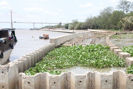 Lùm xùm chuyện đấu thầu, giải ngân dự án kè sông Tiền - 2 Các gói thầu số 1,2 đã thi công phần kè và tiến hành bơm cát.