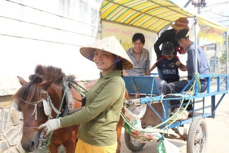 Độc đáo nữ “nài ngựa” xứ dừa - 3 Chị
Khảm đang điều khiển ngựa chở khách du lịch