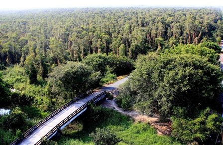 Toàn tỉnh Cà Mau có khoảng 30.000 ha rừng tràm bị khô hạn đang ở cấp nguy hiểm và cực kỳ nguy hiểm