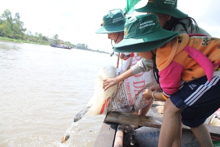 Thả cá giống ra sông để tái tạo nguồn cá tự
nhiên