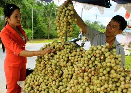 Dâu Hạ Châu được phân loại kỹ càng và vệ sinh sạch sẽ…