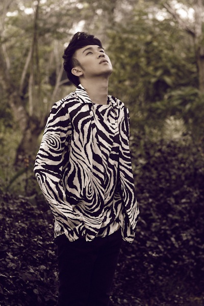 Dương Triệu Vũ: Tôi không phải "hàng đính kèm" của Mr Đàm - 1