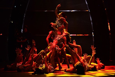 Trong đêm chung kết, top 20 của cuộc thi lại góp mặt và tham gia biểu diễn